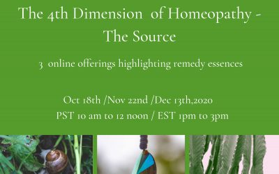 The 4th Dimension of Homeopathy – The Source
