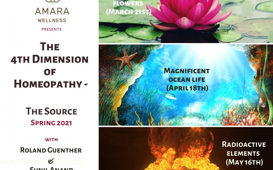 The 4th Dimension of Homeopathy – The Source – 2021 Spring series