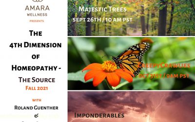 The 4th Dimension of Homeopathy – Seminar Series Fall 2021