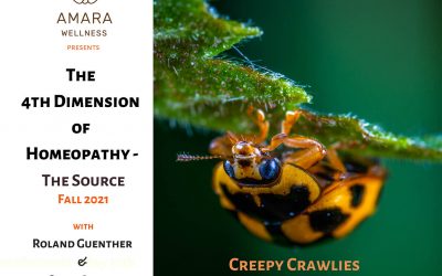 The 4th Dimension of Homeopathy – Creepy Crawlies October 31th