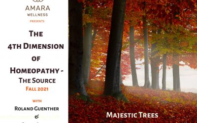 The 4th Dimension of Homeopathy – Majestic Trees September 26th