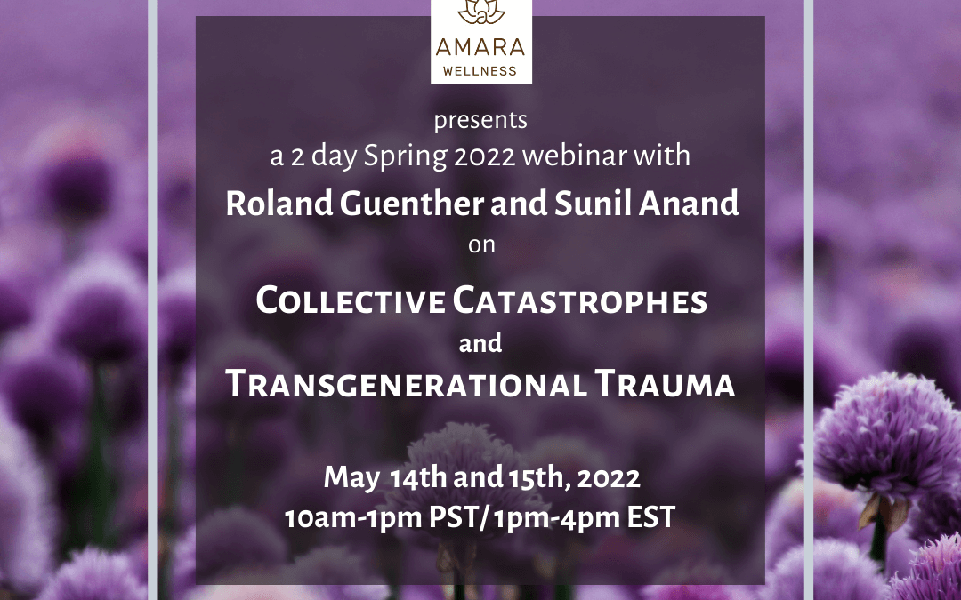 Collective Catastrophes and Transgenerational Trauma Webinar