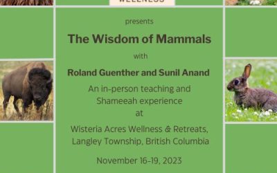 The Wisdom Of Mammals: In-Person Seminar And Shameeah