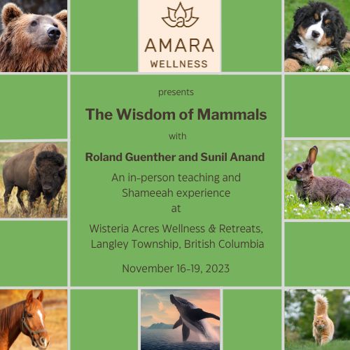The Wisdom Of Mammals: In-Person Seminar And Shameeah