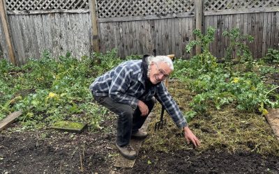 Gardening for Lovers